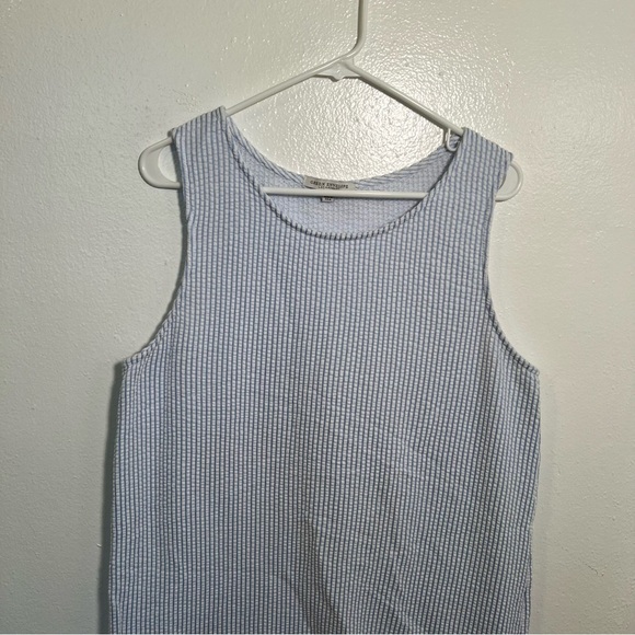 Green Envelope Sleeveless Shift Dress Blue White Seersucker XL - Picture 2 of 8